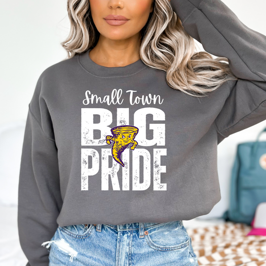 Small Town Big Pride Tornadoes DTF Transfer