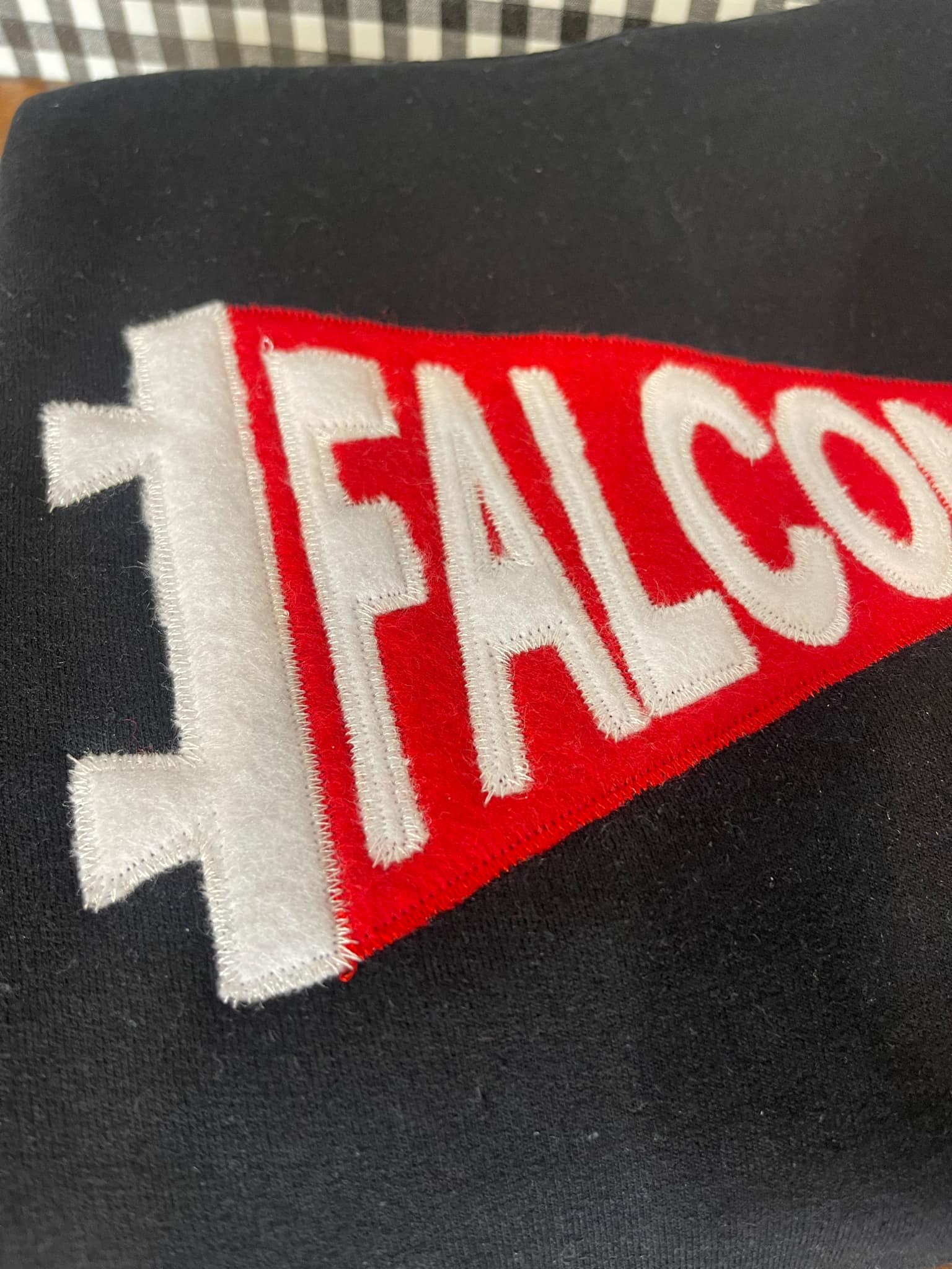 Custom Text Mascot Felt Applique Pennant Flag Embroidered T-Shirt or Sweatshirt